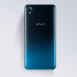 Задняя крышка Vivo Y91c (черно-синий)