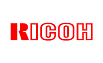 Аккумуляторы для цифровых фотоаппаратов Ricoh