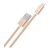 USB кабель Hoco x2 Lightning для зарядки и синхронизации (золото)