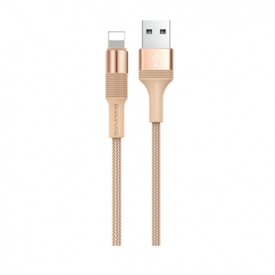 USB кабель Borofone BX21 Lightning для зарядки и синхронизации (золотой) 1 метра - фото